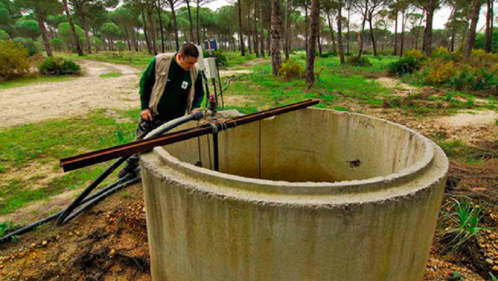 Pozo ilegal Doñana