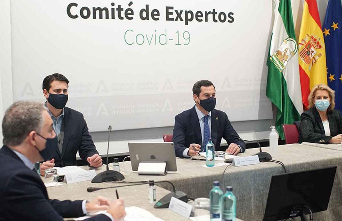 comité de expertos