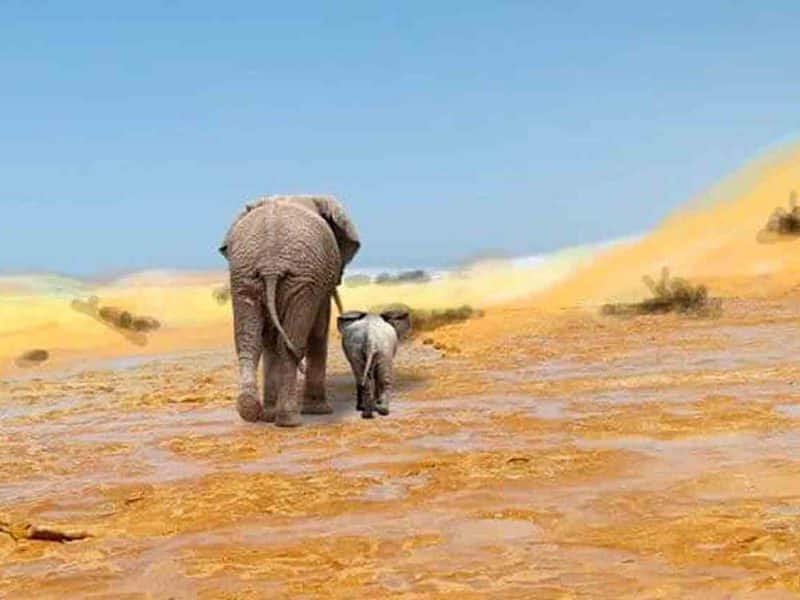 Modelo idealizado de las huellas de un Paleoloxodon hembra y su cría, en la superficie lagunar seca de Matalascañas