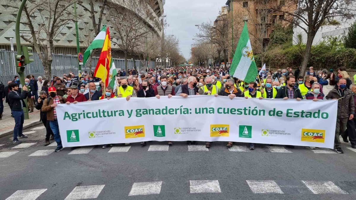 Agricultores de Andalucía se manifiestan en Sevilla para protestar por la situación precaria del campo andaluz / EA