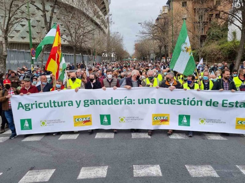 Agricultores de Andalucía se manifiestan en Sevilla para protestar por la situación precaria del campo andaluz / EA