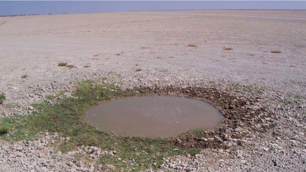 Imagen del pasado año evidenciando los efectos de la sequía en Doñana