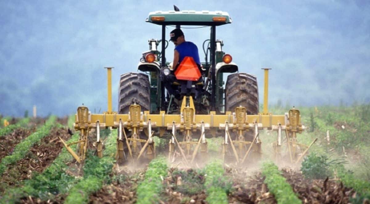 Agricultor trabajando en el campo