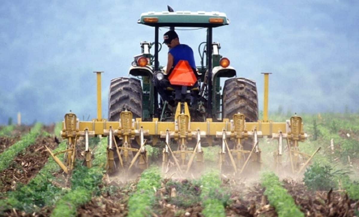 Agricultor trabajando en el campo