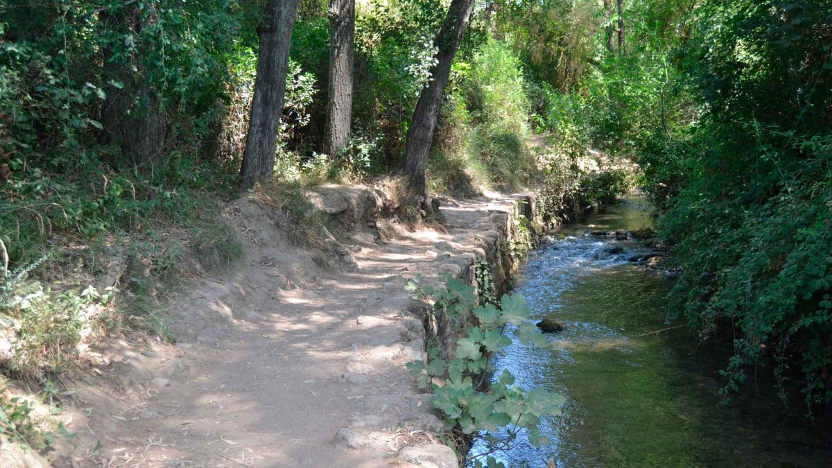 Esta ruta recorre el río Majaceite, también conocido como Guadalcacín