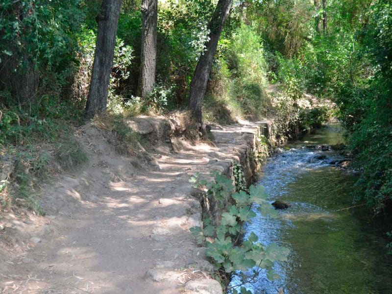 Esta ruta recorre el río Majaceite, también conocido como Guadalcacín