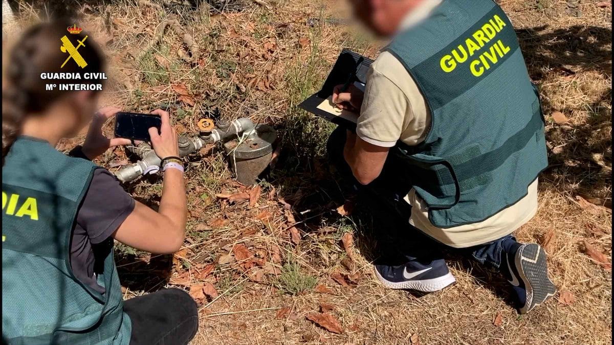 Las alarmas saltaron a raíz del uso ilegal de agua para riego de cultivos subtropicales en Málaga