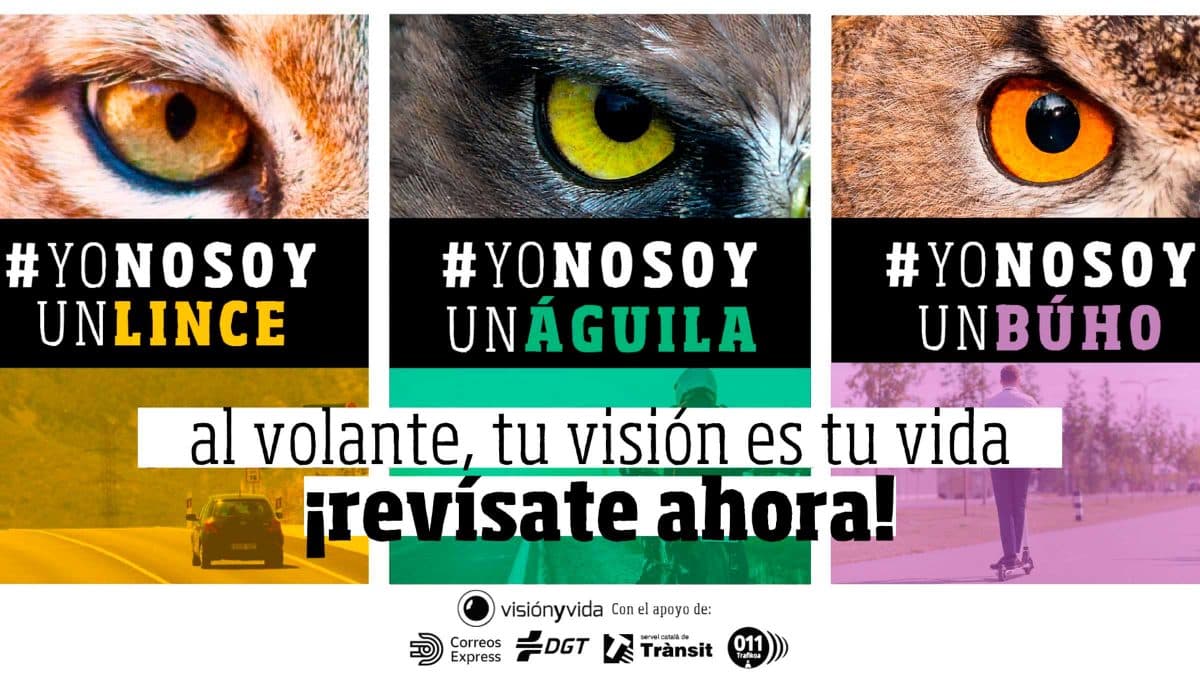 Cartel oficial de esta campaña