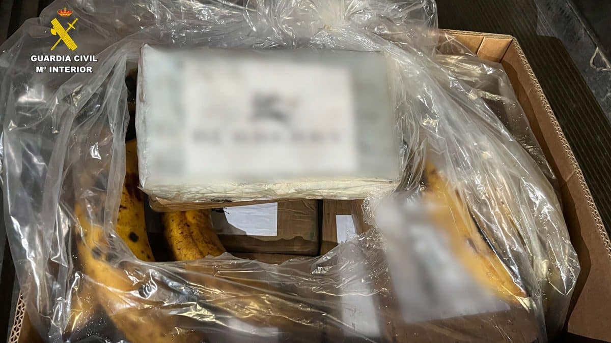 La cocaína se escondía en cajas de bananas procedentes de Sudamérica