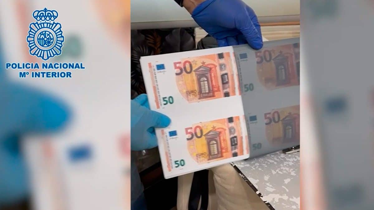 Algunos de los billetes requisados al detenido