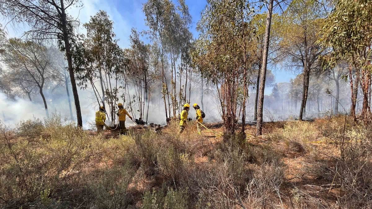 Incendio forestal en Bonares. EA