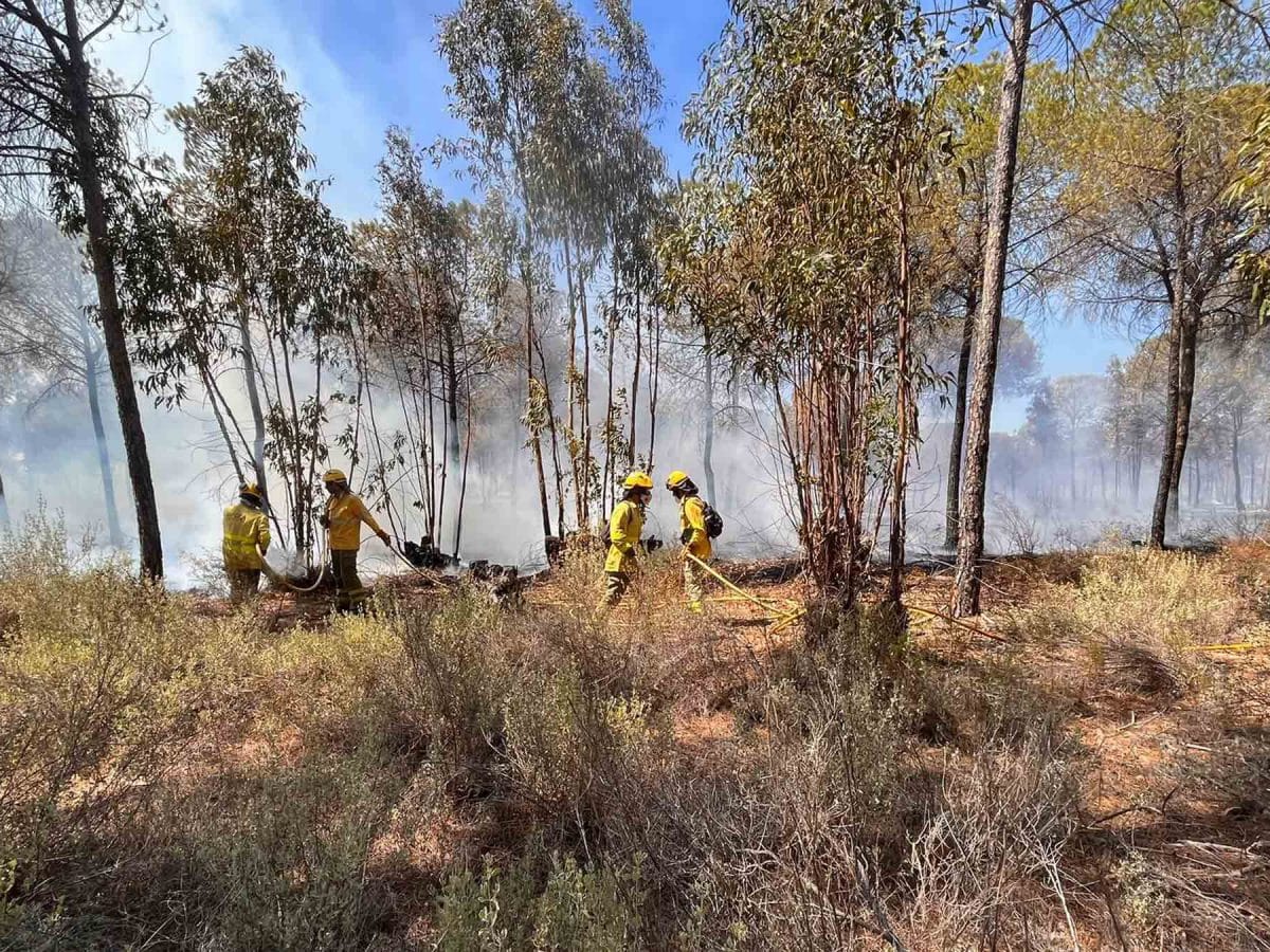 Incendio forestal en Bonares. EA