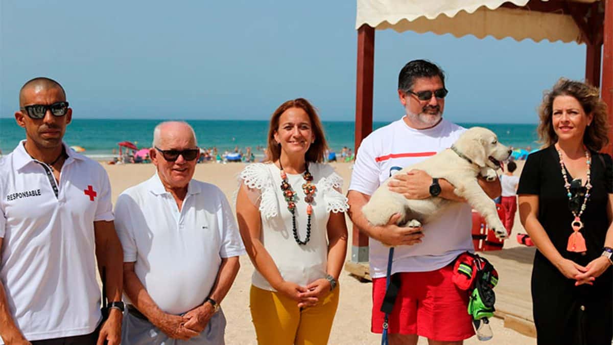 Imagen de este dedicado cachorro / Ayuntamiento de Chiclana de la Frontera