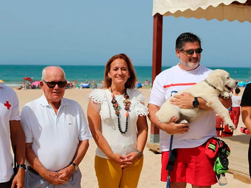 Imagen de este dedicado cachorro / Ayuntamiento de Chiclana de la Frontera