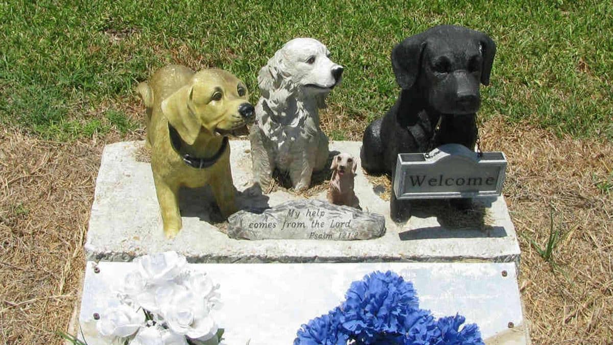 Imagen recurso de un cementerio de mascotas