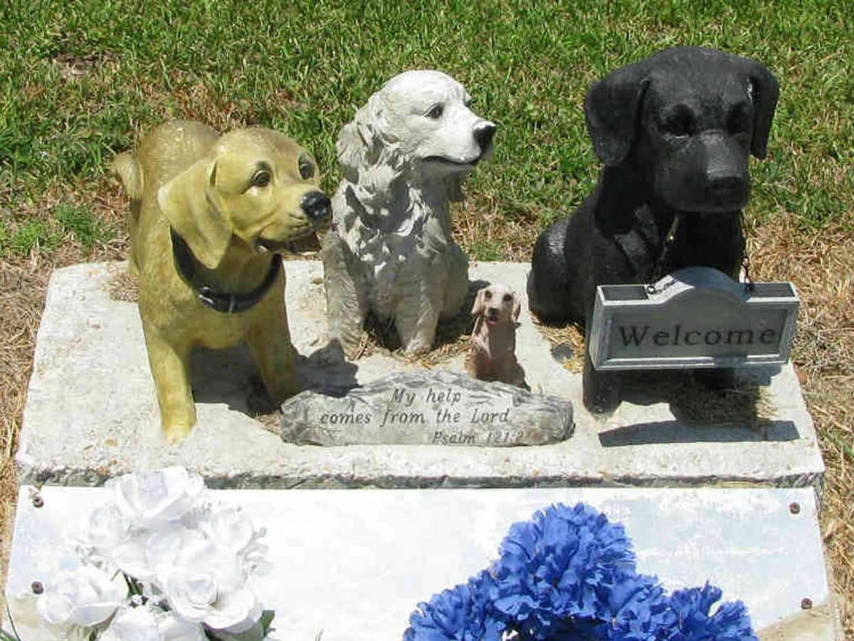 Imagen recurso de un cementerio de mascotas