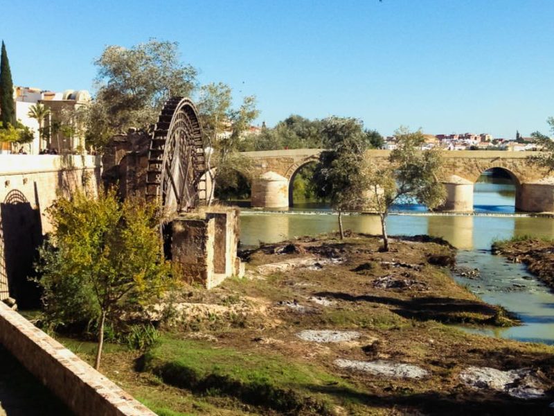 Continúa la sequía en Andalucía