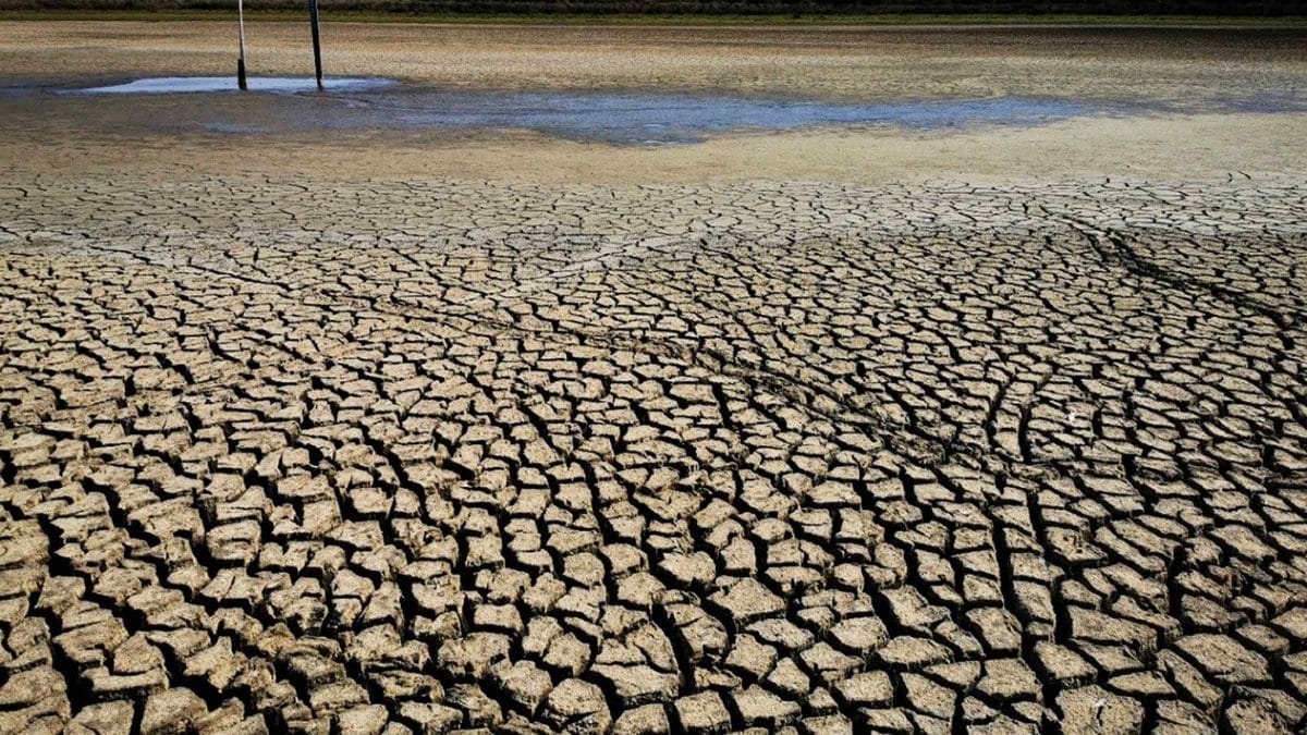 Imagen de los efectos de la sequía sobre la cuenca del Guadalquivir