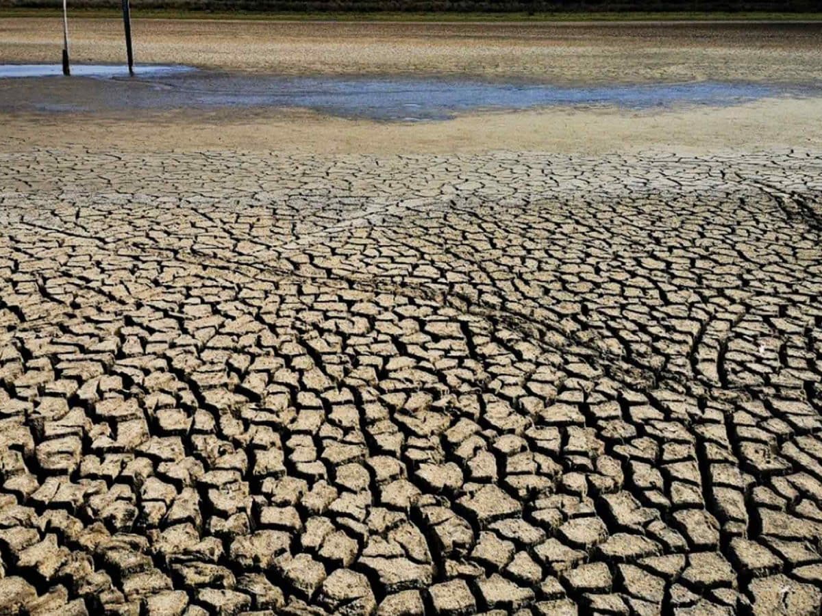 Imagen de los efectos de la sequía sobre la cuenca del Guadalquivir