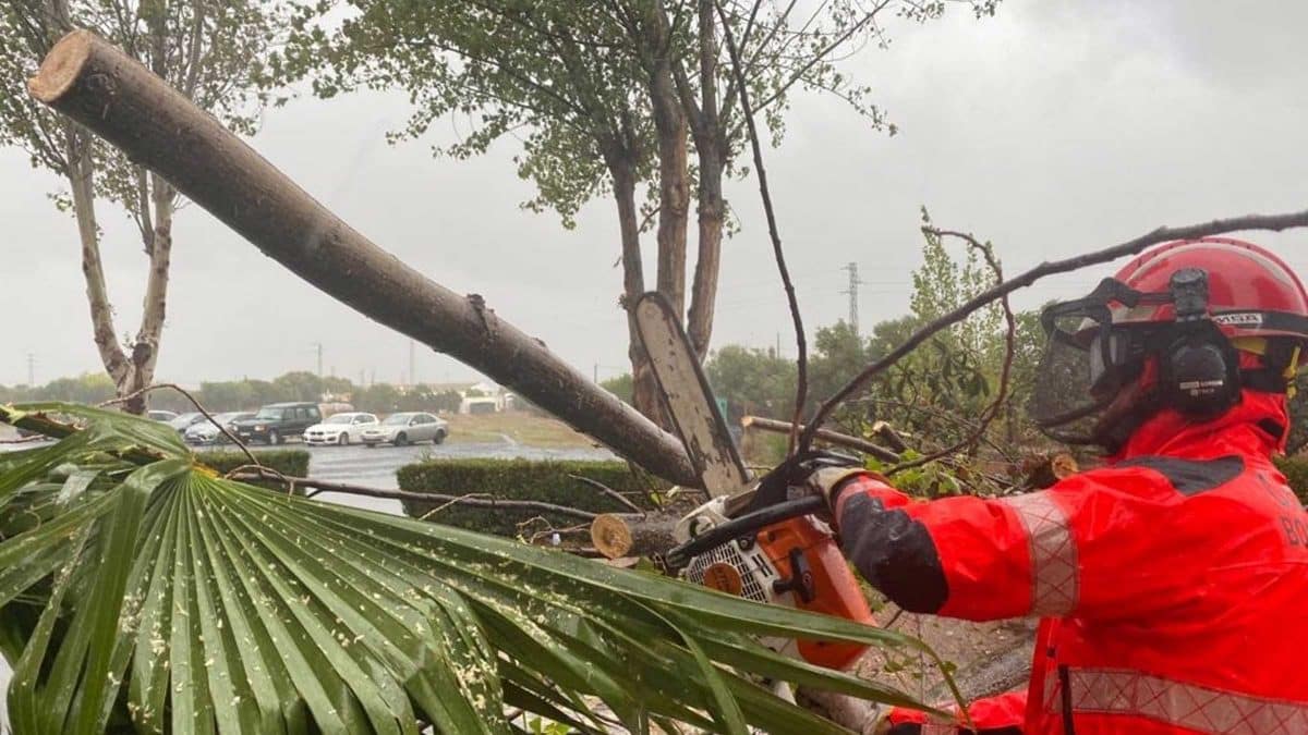 Imagen de las consecuencias del temporal en Huelva