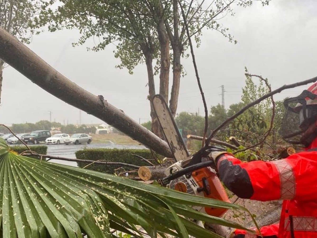 Imagen de las consecuencias del temporal en Huelva