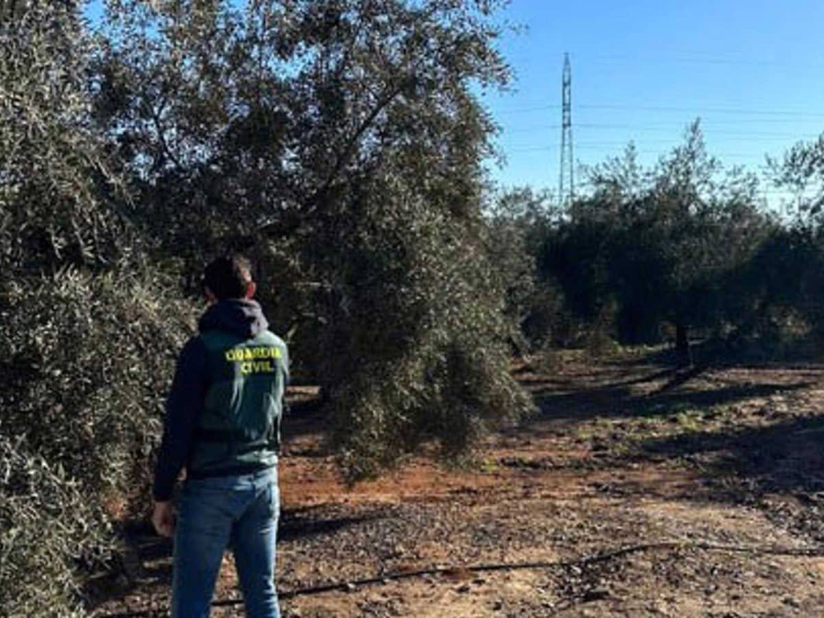 Agente de la Guardia Civil en el campo / Europa Press