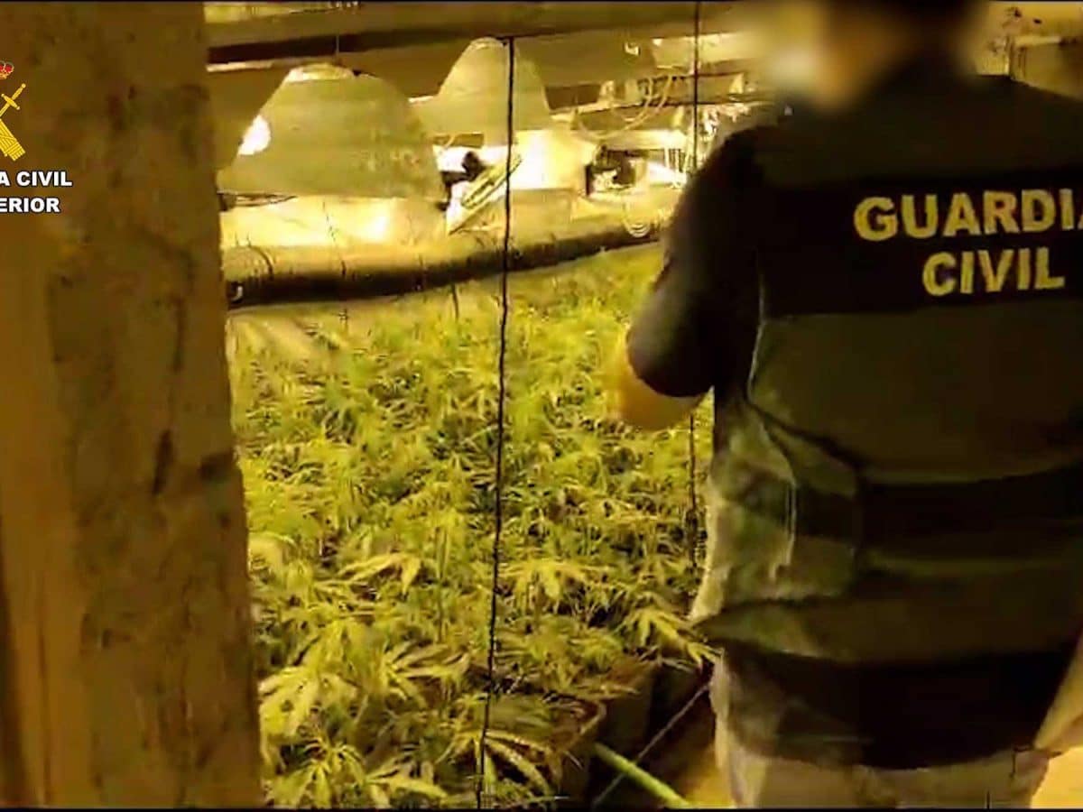 Un agente frente a esta plantación de marihuana / Europa Press