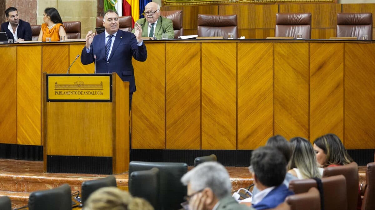 El consejero de Turismo, Cultura y Deporte, Arturo Bernal, en el Pleno del Parlamento andaluz. - JOAQUÍN CORCHERO/PARLAMENTO DE ANDALUCÍA