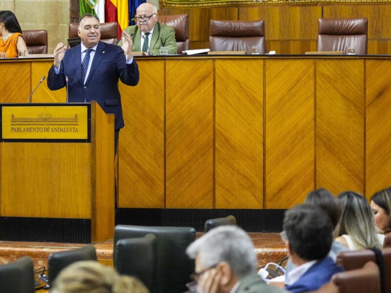 El consejero de Turismo, Cultura y Deporte, Arturo Bernal, en el Pleno del Parlamento andaluz. - JOAQUÍN CORCHERO/PARLAMENTO DE ANDALUCÍA