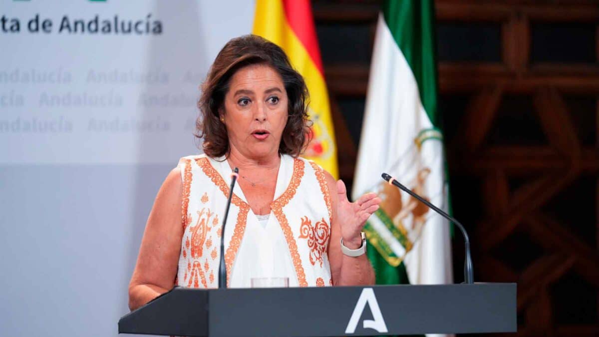 La consejera de Salud y Consumo, Catalina García, en la rueda de prensa posterior al Consejo de Gobierno del 9 de julio de 2024. - FRANCISCO J. OLMO / EUROPA PRESS