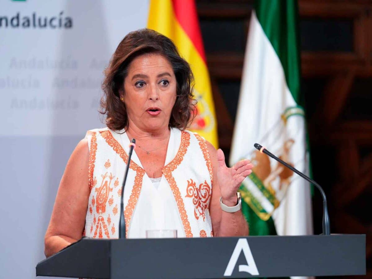 La consejera de Salud y Consumo, Catalina García, en la rueda de prensa posterior al Consejo de Gobierno del 9 de julio de 2024. - FRANCISCO J. OLMO / EUROPA PRESS