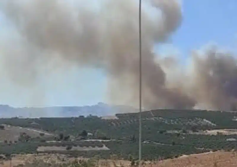 Imagen del fuego declarado en el paraje Sierra de las Cabras (Antequera) - PLAN INFOCA