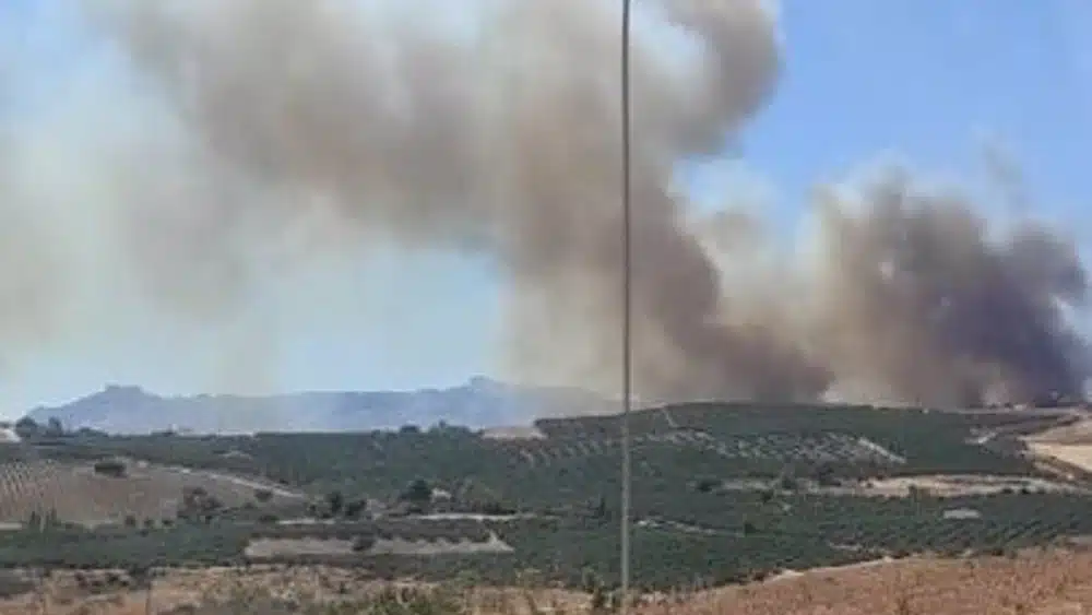 Imagen del fuego declarado en el paraje Sierra de las Cabras (Antequera) - PLAN INFOCA