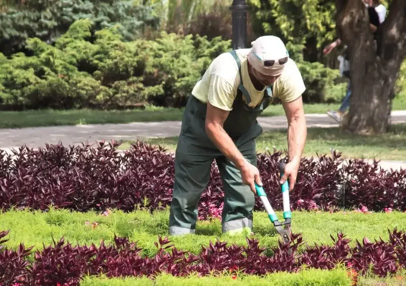 Trabajador de jardinería. - JUNTA DE ANDALUCIA