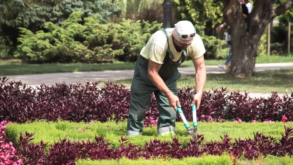 Trabajador de jardinería. - JUNTA DE ANDALUCIA