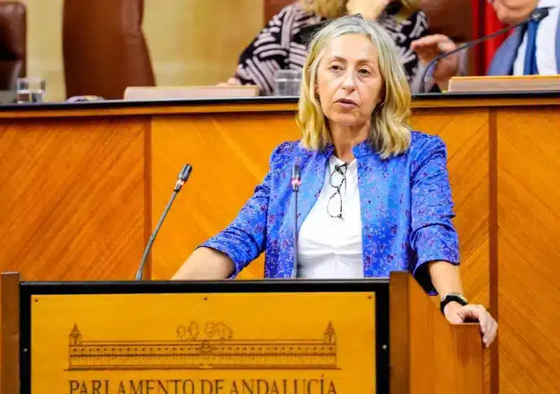 La consejera de Salud y Consumo, Rocío Hernández, interviene en el Pleno del Parlamento andaluz. (Foto de archivo). - JOAQUÍN CORCHERO/PARLAMENTO DE ANDALUCÍA