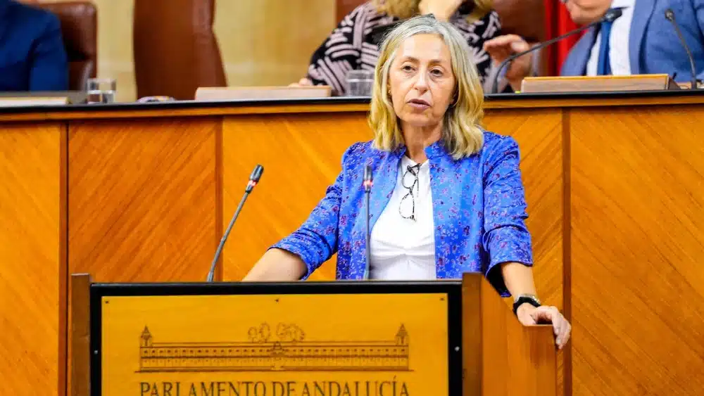 La consejera de Salud y Consumo, Rocío Hernández, interviene en el Pleno del Parlamento andaluz. (Foto de archivo). - JOAQUÍN CORCHERO/PARLAMENTO DE ANDALUCÍA