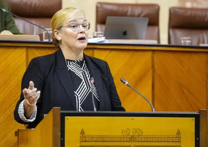 La diputada del PP María José de Alba Castiñeira, este jueves en el Pleno del Parlamento en su defensa de la PNL sobre pobreza. - JOAQUÍN CORCHERO/EUROPA PRESS