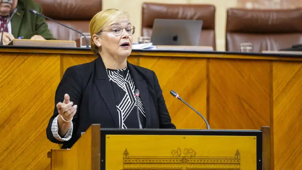 La diputada del PP María José de Alba Castiñeira, este jueves en el Pleno del Parlamento en su defensa de la PNL sobre pobreza. - JOAQUÍN CORCHERO/EUROPA PRESS