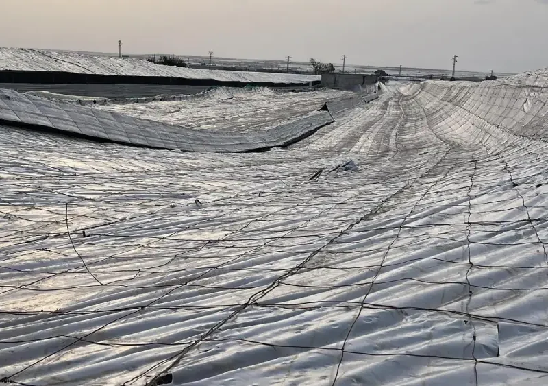 Estado en el que han quedado los invernaderos de El Ejido, en Almería, tras el paso de la DANA que afecta especialmente a Andalucía oriental. - AYUNTAMIENTO EL EJIDO