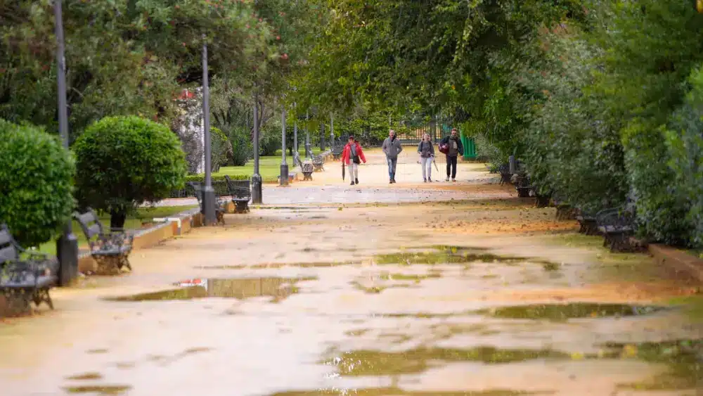 Imagen de Sevilla con las lluvias de los últimos días. - Joaquin Corchero - Europa Press