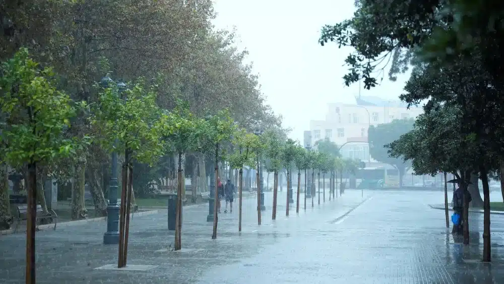 Imagen de la lluvia este 11 de octubre de 2024 en Sevilla. EP