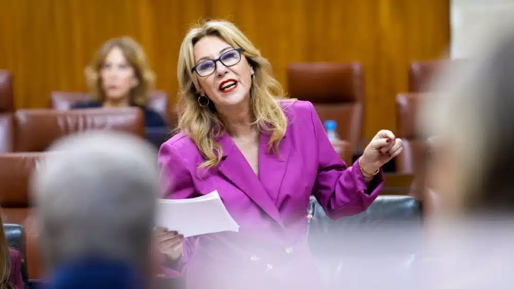 La consejera de Economía, Hacienda y Fondos Europeos, Carolina España, en el Pleno del Parlamento. - FRANCISCO J. OLMO/EUROPA PRESS