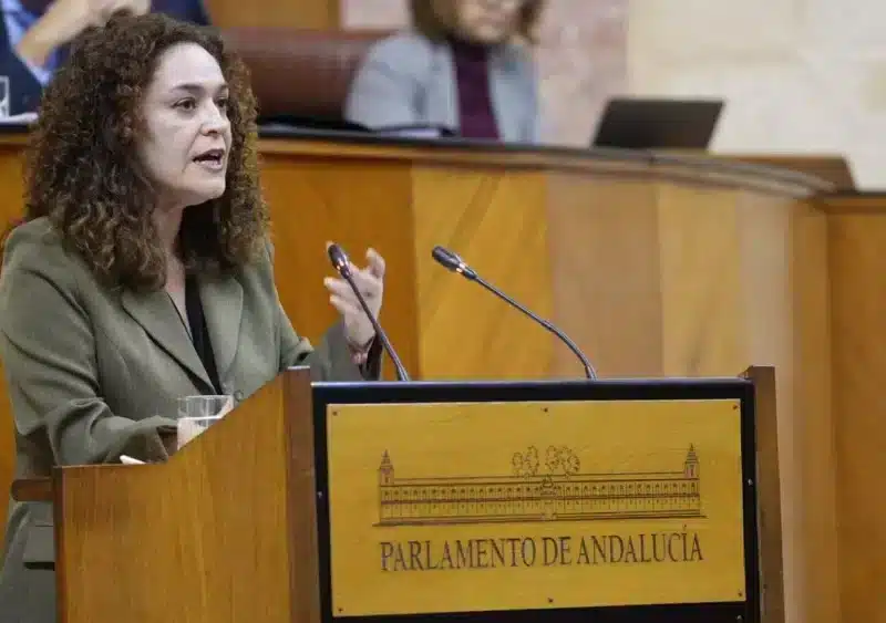 La portavoz de Por Andalucía, Inma Nieto, este miércoles en el Pleno del Parlamento en el debate de la enmienda a la totalidad al proyecto de Presupuesto 2025. - FRANCISCO J.OLMO/EUROPA PRESS