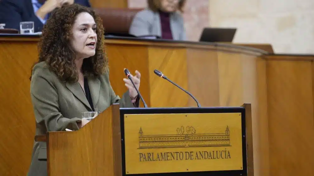 La portavoz de Por Andalucía, Inma Nieto, este miércoles en el Pleno del Parlamento en el debate de la enmienda a la totalidad al proyecto de Presupuesto 2025. - FRANCISCO J.OLMO/EUROPA PRESS