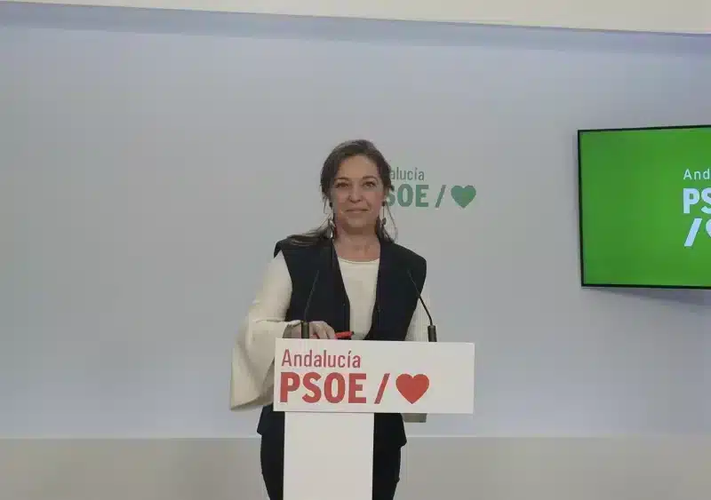 La portavoz de Fomento, Articulación del Territorio y Vivienda del Grupo Socialista en el Parlamento andaluz, Isabel Ambrosio, en rueda de prensa en la sede regional del PSOE-A. - PSOE-A