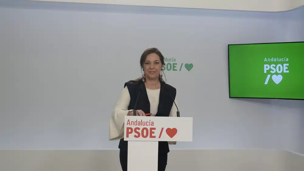 El PSOE pide al PP un debate general en Pleno sobre los contratos del SAS si no tiene «nada que ocultar»