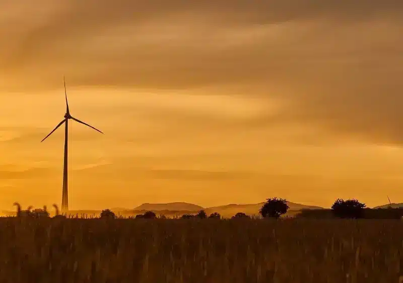 Imagen recurso de gestión ambiental. - JUNTA DE ANDALUCÍA