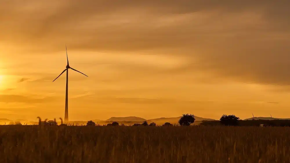 Imagen recurso de gestión ambiental. - JUNTA DE ANDALUCÍA