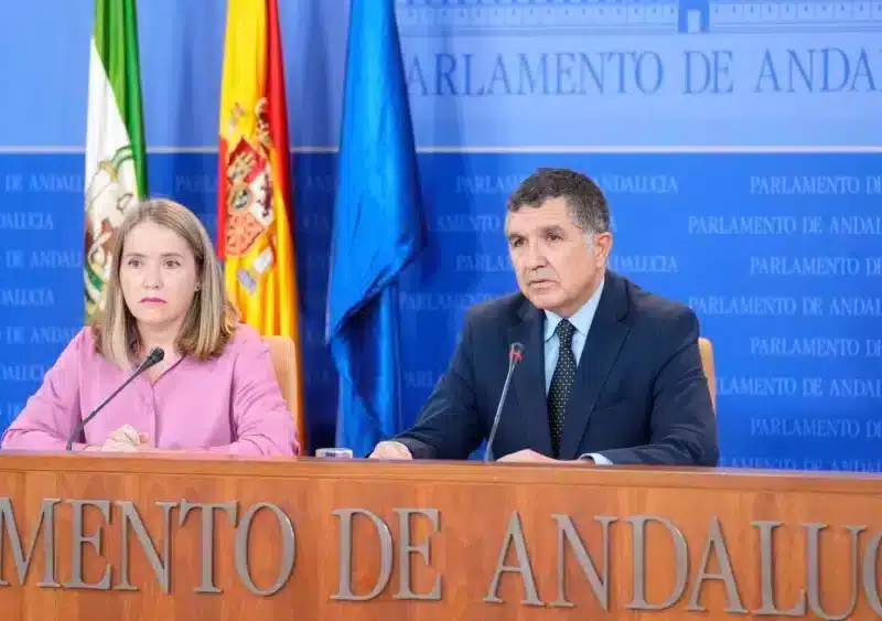 Los parlamentarios del PSOE-A Alicia Murillo y Gaspar Llanes, en rueda de prensa en el Parlamento andaluz. - JOAQUÍN CORCHERO/EUROPA PRESS